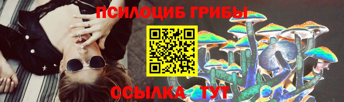 Галлюциногенные грибы GOLDEN TEACHER Октябрьский